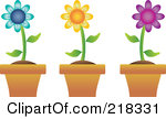 218331-Royalty-Free-RF-Clipart-Illustration-Of-A-Digital-Collage-Of-Three-Colorful-Daisies-In-Terra-Cotta-Pots