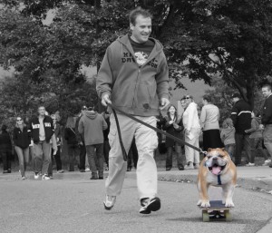 Ralph, the skateboarding dog