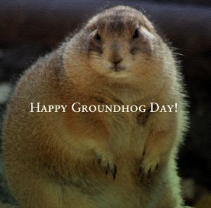 groundhog