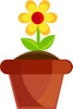 yellow_daisy_flower_growing_in_a_pot_0515-1103-2603-0549_TN
